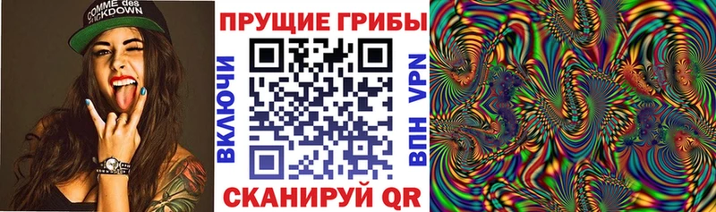 Псилоцибиновые грибы MAGIC MUSHROOMS  наркотики  Емва 